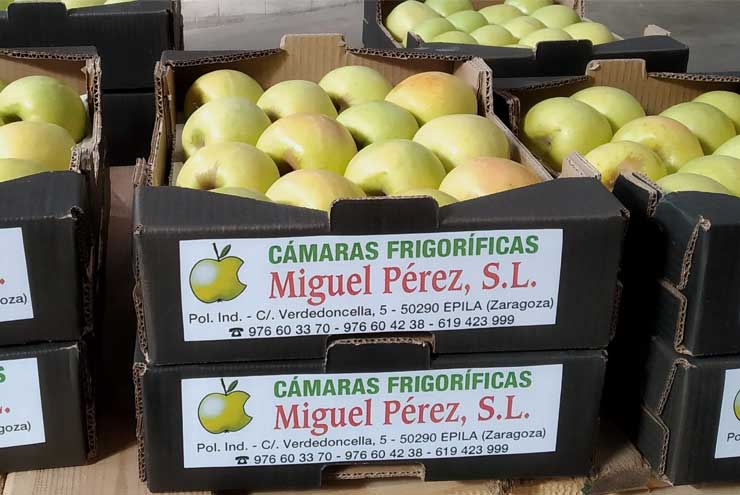 Cámaras Frigoríficas Miguel Pérez, S.L.